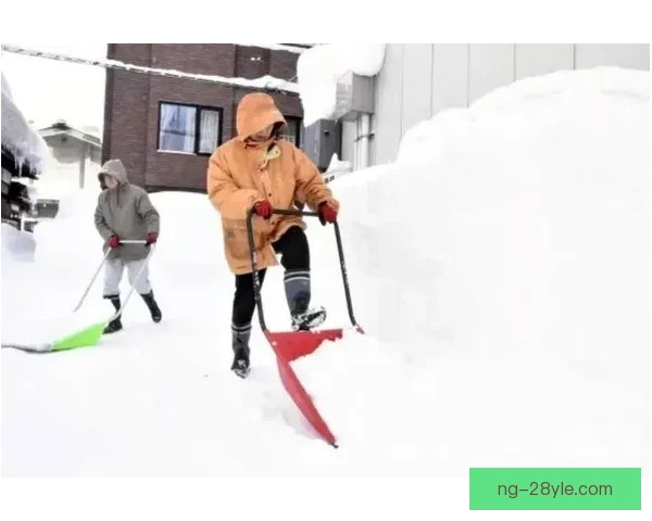强降雪致空中技巧预赛持续推迟